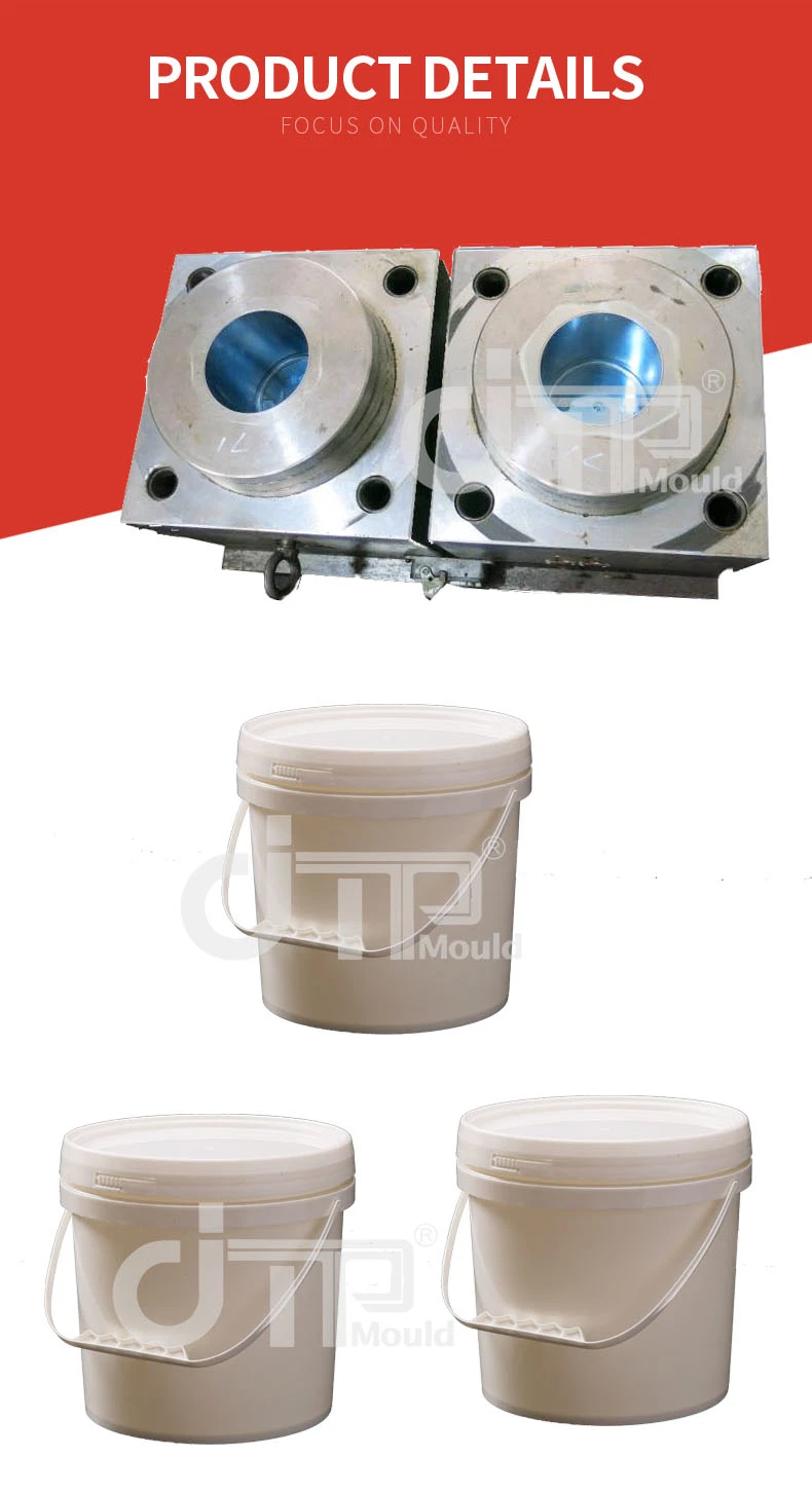 Professional Plastic Bucket Mould Manufacturer for Paint Pail Injection Mold