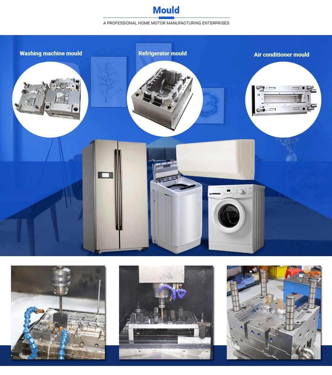 Ruijp Professional Customized Plastic Injection Mould Household Appliances Washing Machine Mould